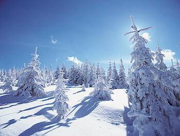Winter Wellness Urlaub im Bayerischen Wald